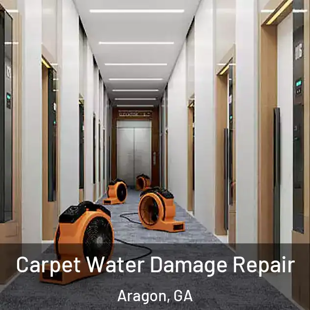  Carpet Water Damage Repair Aragon, GA