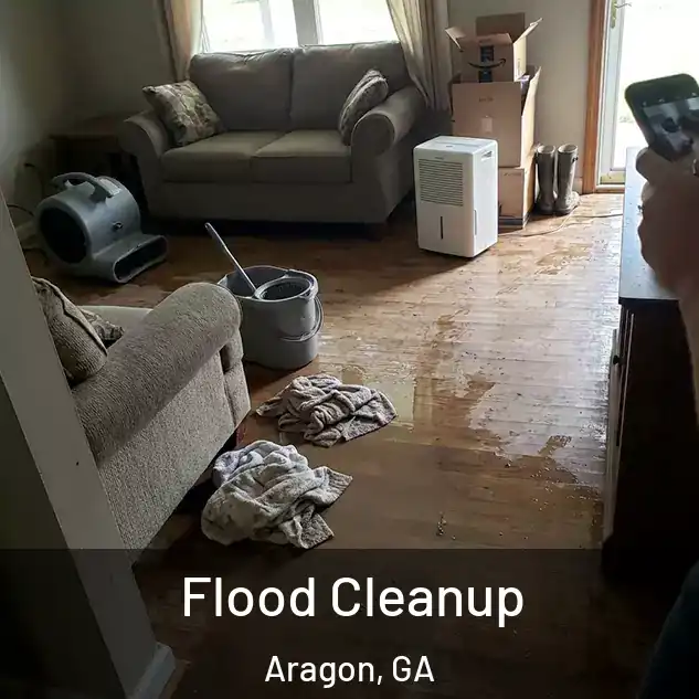  Flood Cleanup Aragon, GA
