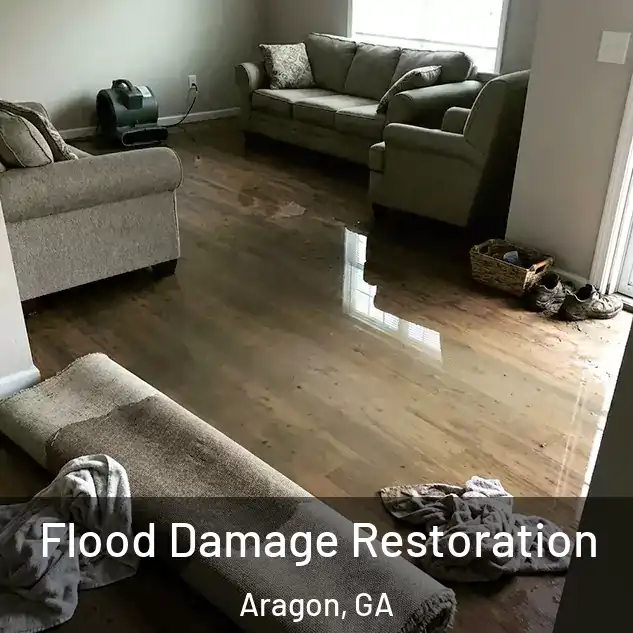  Flood Damage Restoration Aragon, GA