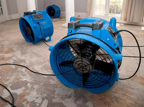 Water Damage Reconstruction in Aragon