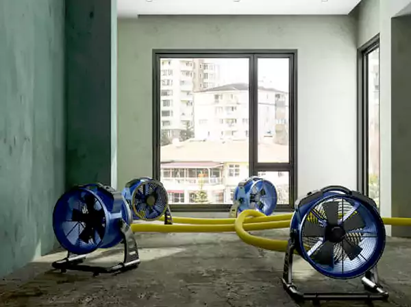 Water Removal Services in Aragon
