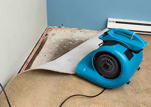 Your Water Damage Experts in Aragon, GA