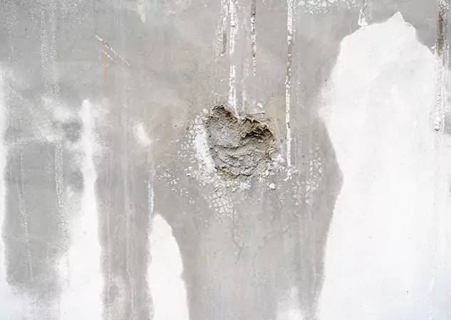 Your Mold Mitigation Solutions Partner in Aragon, GA