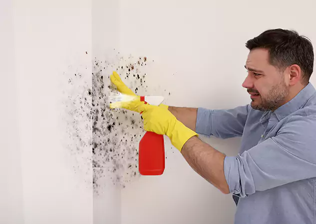 Your Water Mold Fire Restoration Partner in Aragon, GA