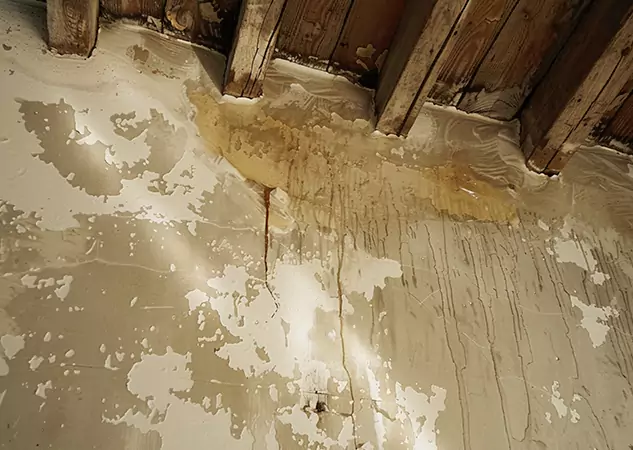 Your Trusted Restoration Company in Aragon, GA