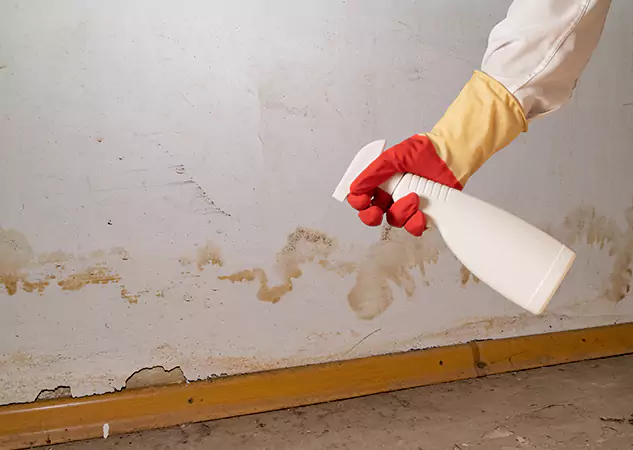 Your Water Restoration and Mold Remediation Specialists in Aragon, GA