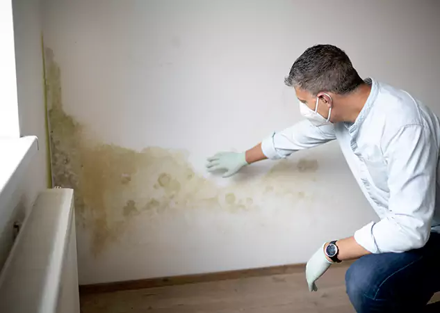 Reach Our Remediation Team Before Damage Grows in Aragon, GA!