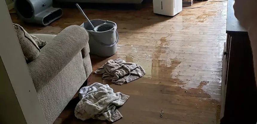 Professional Basement Water Remediation Services in Aragon, GA