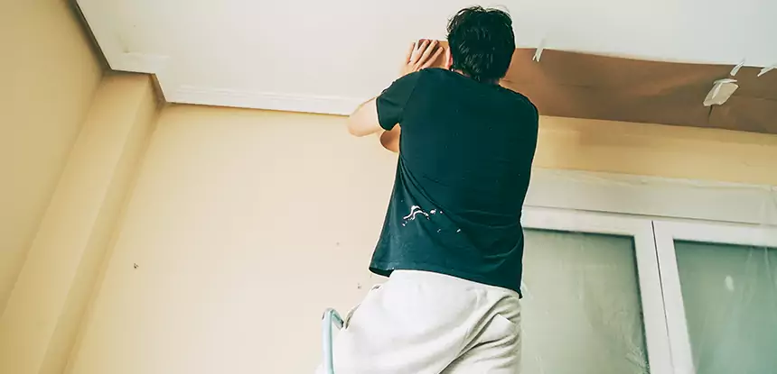 Ceiling Water Damage Repair in Aragon
