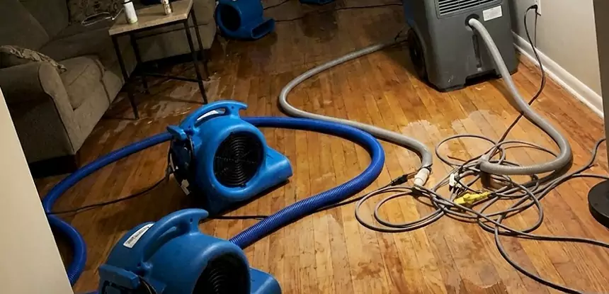 Basement Flood Restoration Services in Aragon