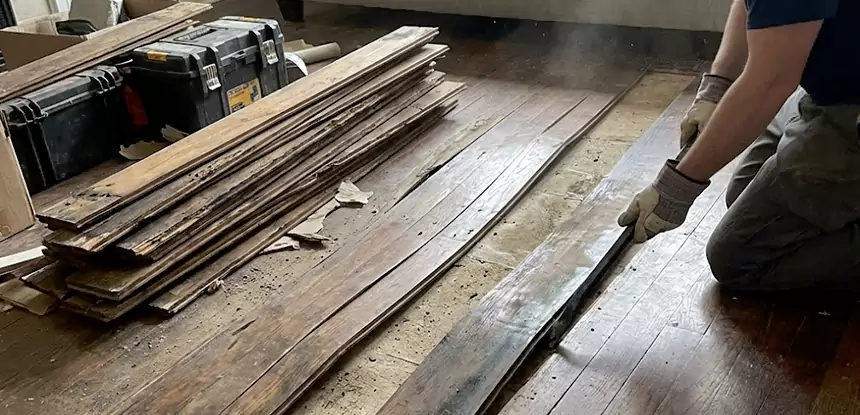 Wood Rot and Fungus Repair in Aragon
