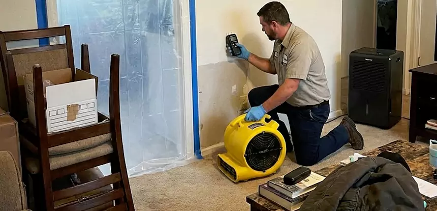 Carpet Water Damage Repair Aragon