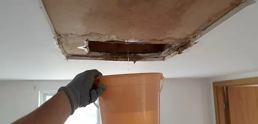Ceiling Mold Repair Aragon 
