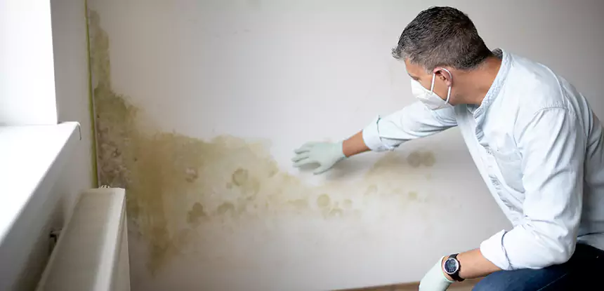 Mold and Water Damage Repair in Aragon