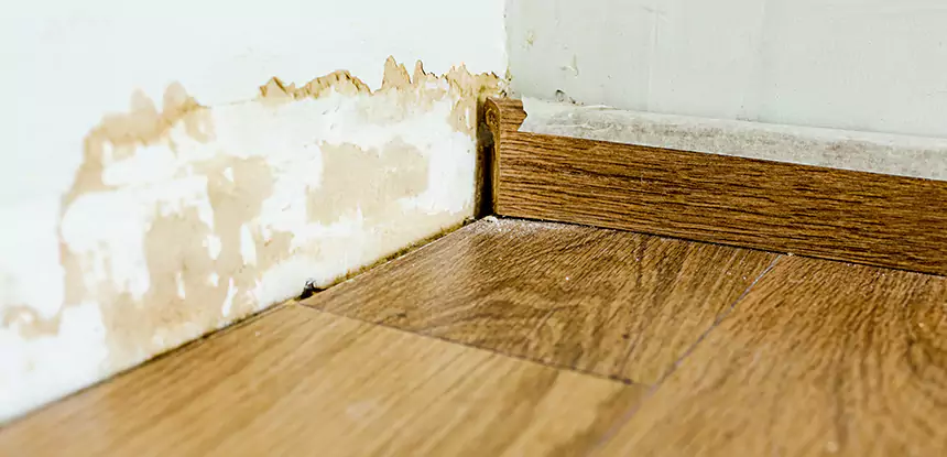 Professional Fix Water Damaged Wood Services in Aragon, GA