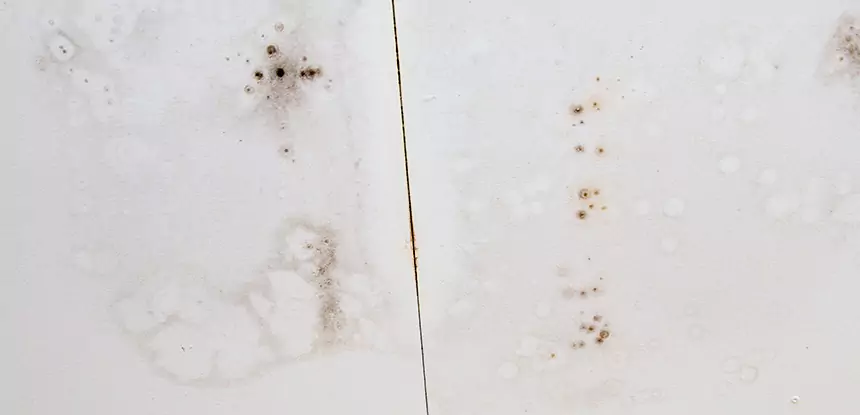 Professional Water Stain Repair Services in Aragon, GA