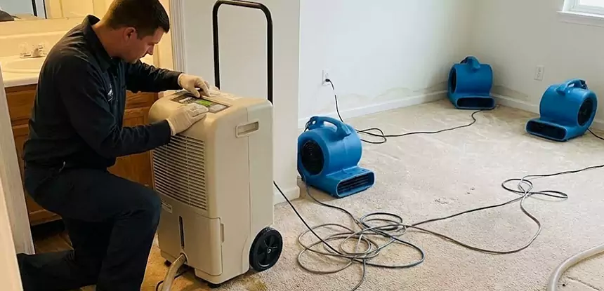 Professional Wet Carpet Removal Services in Aragon, GA