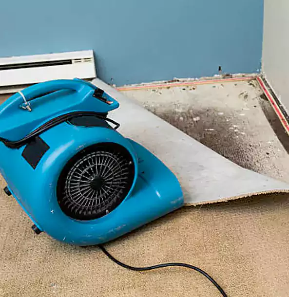 Why Aragon Trusts Aragon Restoration Pro for Carpet Flood Recovery?
