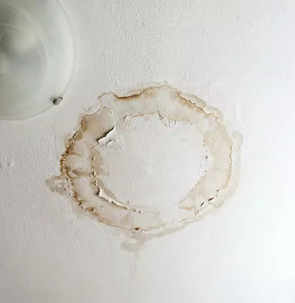 Why Aragon Property Owners Choose Aragon Restoration Pro for Ceiling Water Damage Restoration?