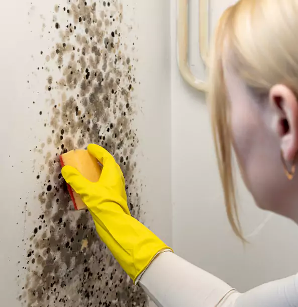 Why Aragon Restoration Pro Leads Mold Remediation in Aragon?
