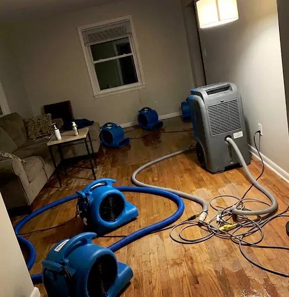 Why Aragon Property Owners Rely on Aragon Restoration Pro for Remediation?