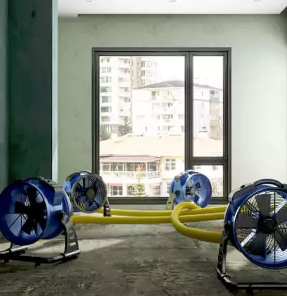 Why Aragon Property Owners Trust Aragon Restoration Pro for Water Damage Drying?