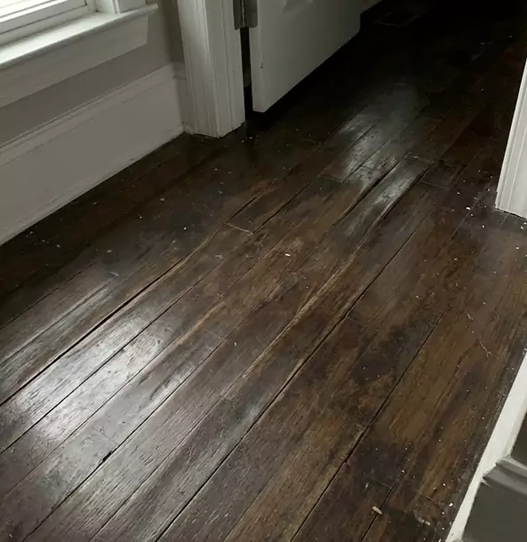 Why Aragon Homeowners Trust Aragon Restoration Pro to Fix Water Damaged Wood?