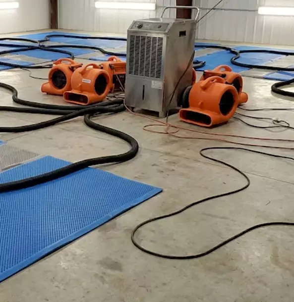 Why Aragon Homeowners and Businesses Choose Aragon Restoration Pro for Wet Carpet Removal?