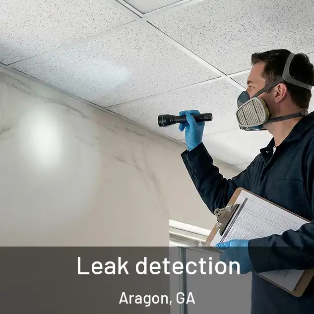  Leak detection Aragon, GA