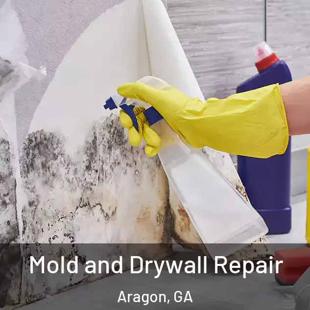  Mold and Drywall Repair Aragon, GA