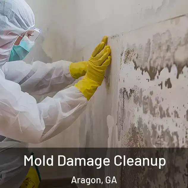  Mold Damage Cleanup Aragon, GA
