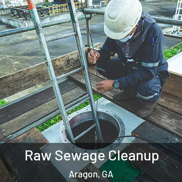  Raw Sewage Cleanup Aragon, GA