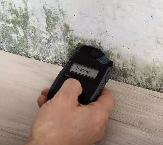 Mold Remediation Service Aragon