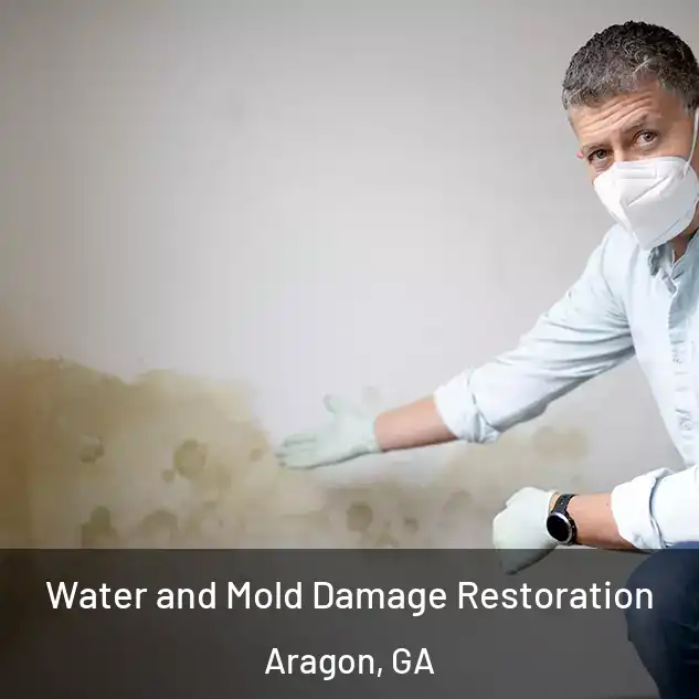  Water and Mold Damage Restoration Aragon, GA