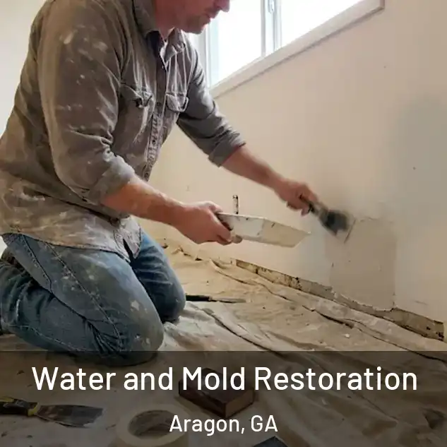  Water and Mold Restoration Aragon, GA