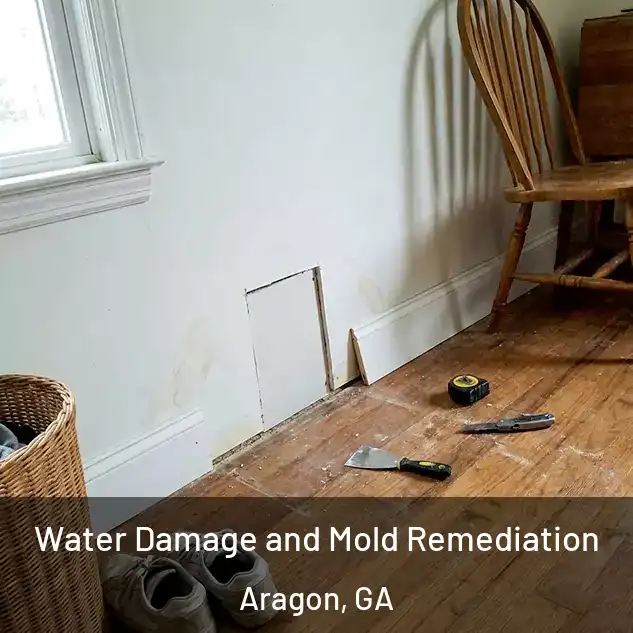  Water Damage and Mold Remediation Aragon, GA