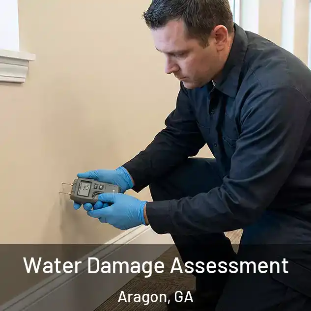  Water Damage Assessment Aragon, GA