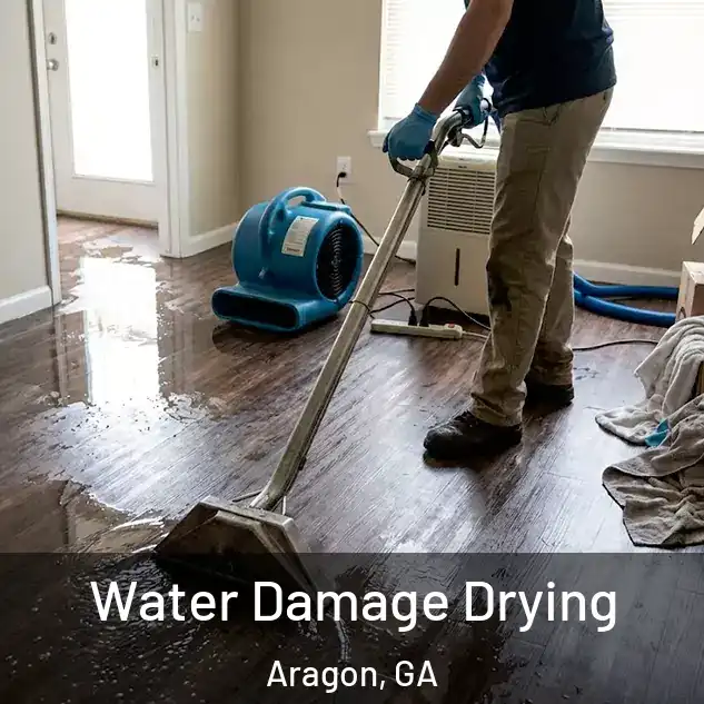  Water Damage Drying Aragon, GA