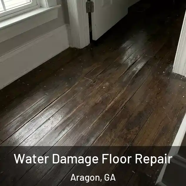  Water Damage Floor Repair Aragon, GA