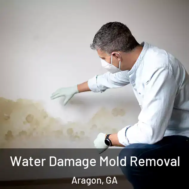  Water Damage Mold Removal Aragon, GA