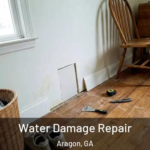  Water Damage Repair Aragon, GA