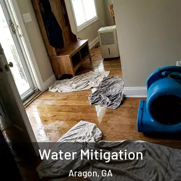  Water Mitigation Aragon, GA