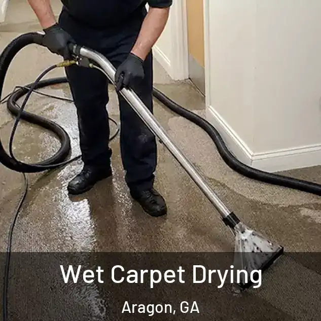  Wet Carpet Drying Aragon, GA